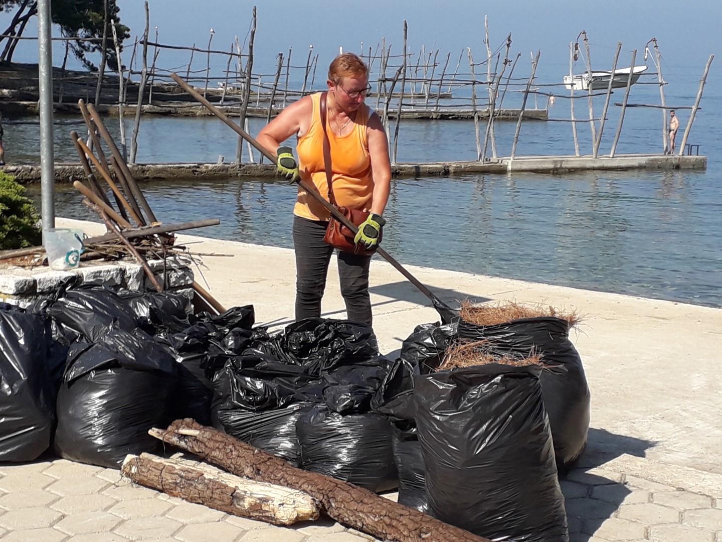 Mili Kos, angažirala volontere u čišćenju plaže u Bašaniji jer su zakazale službe